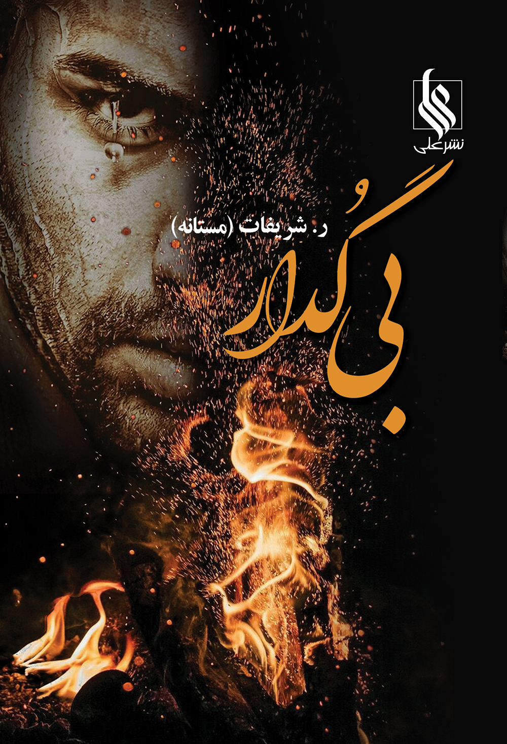 بی گدار